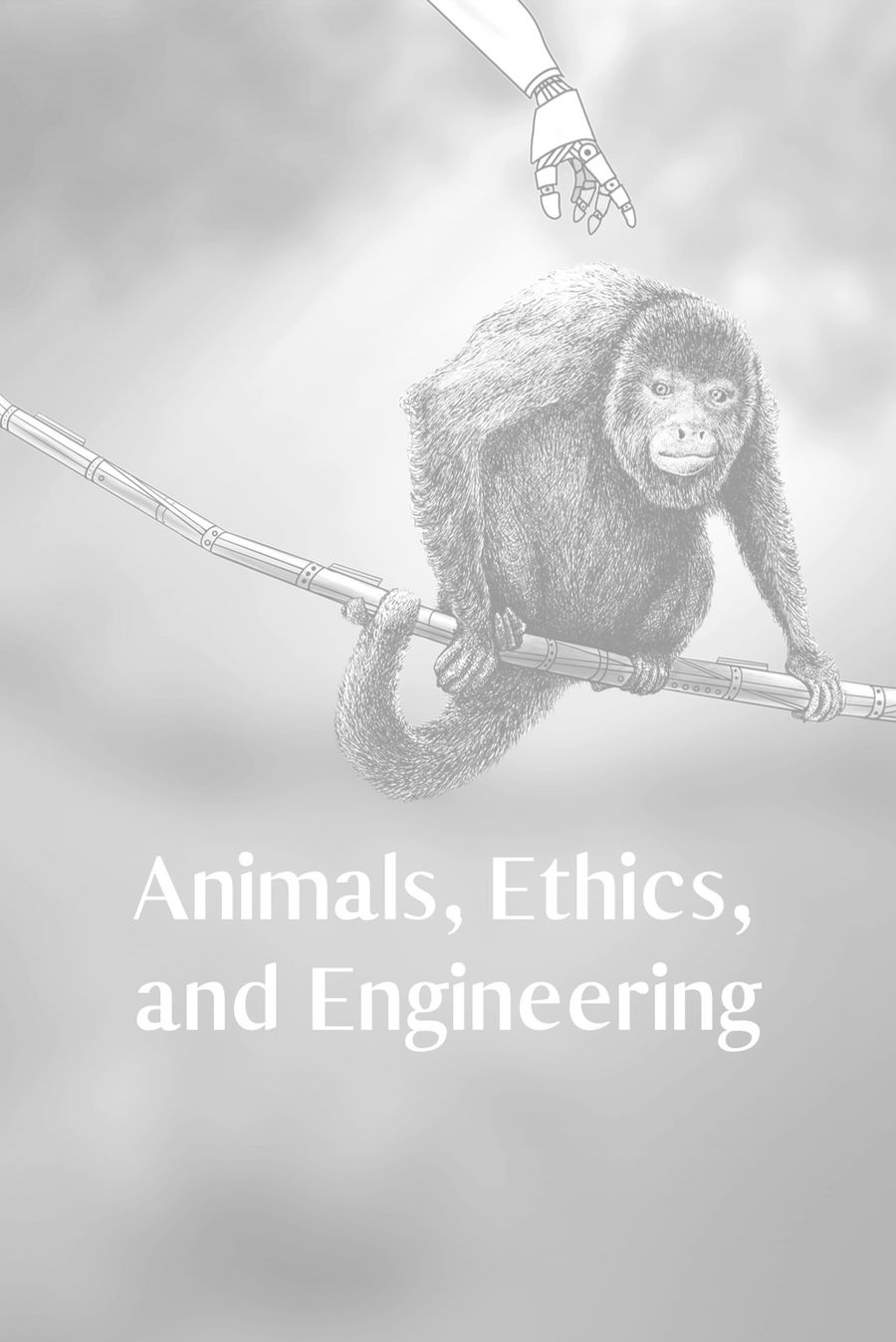 The 3Rs Principles and Genetic Pain Disenhancement (2025 version)